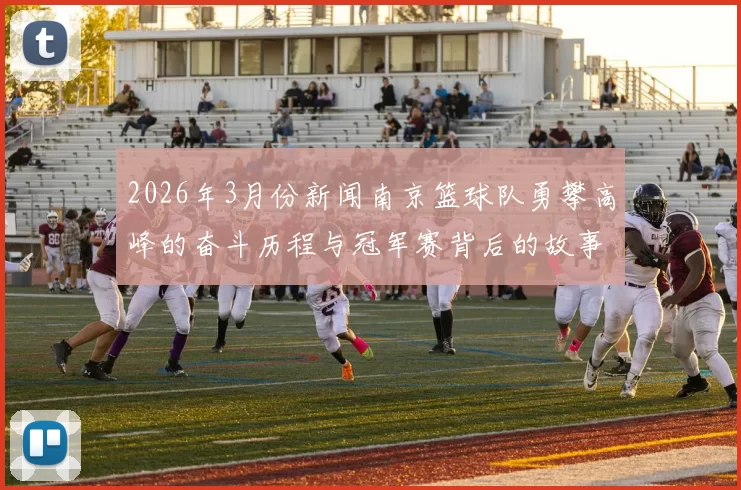 2026年3月份新闻南京篮球队勇攀高峰的奋斗历程与冠军赛背后的故事揭秘