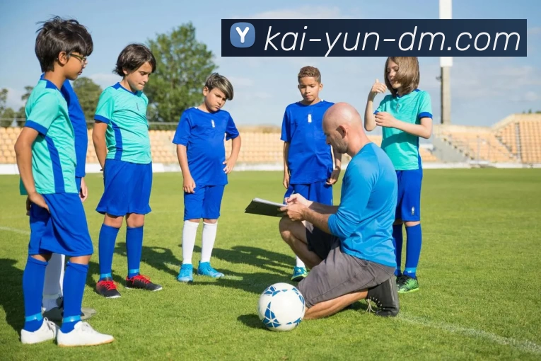 开云平台生态图